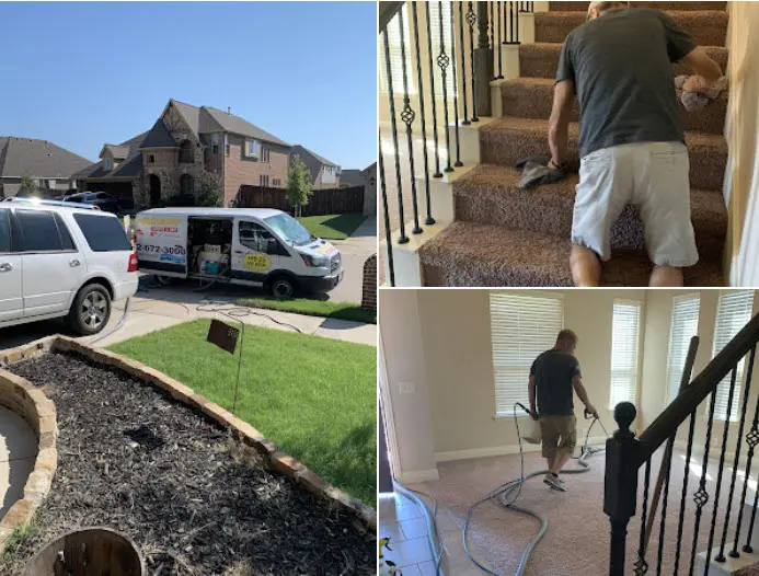 Best Carpet Cleaners