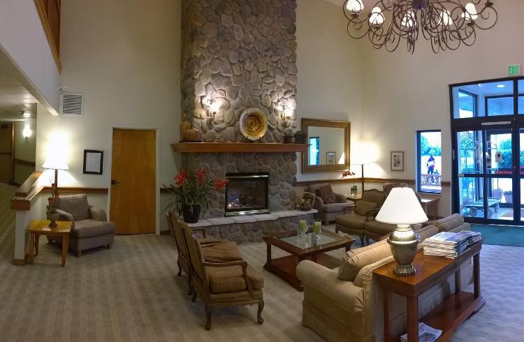 Commercial Chair and Couch Upholstery Cleaners