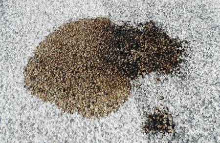 Stain Removal Cleaning Service